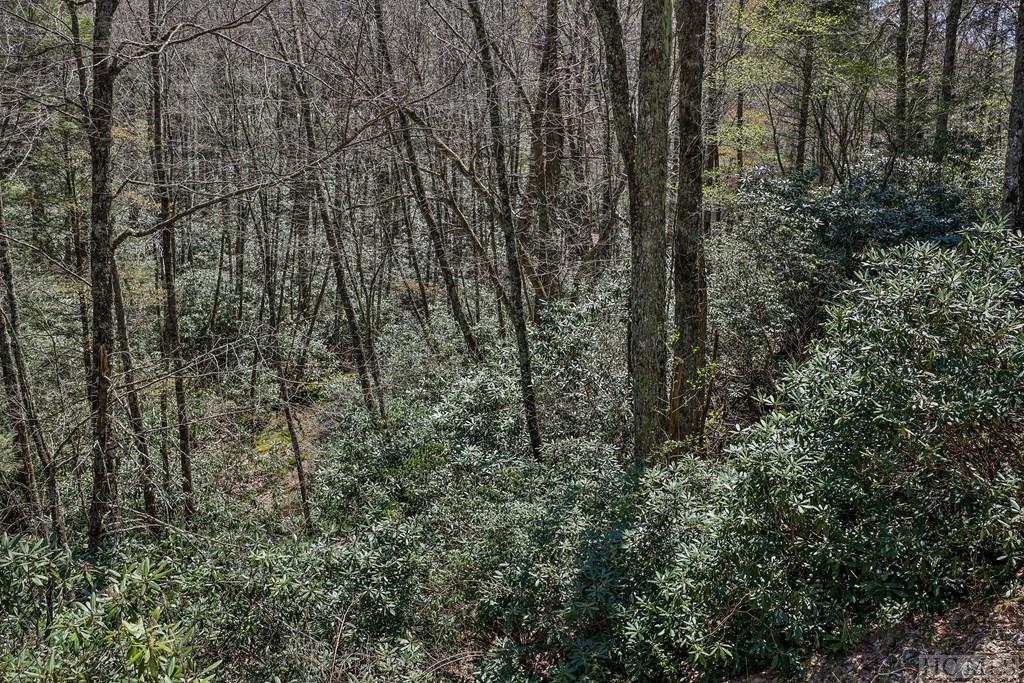 Lot 34 Streamside Lane
