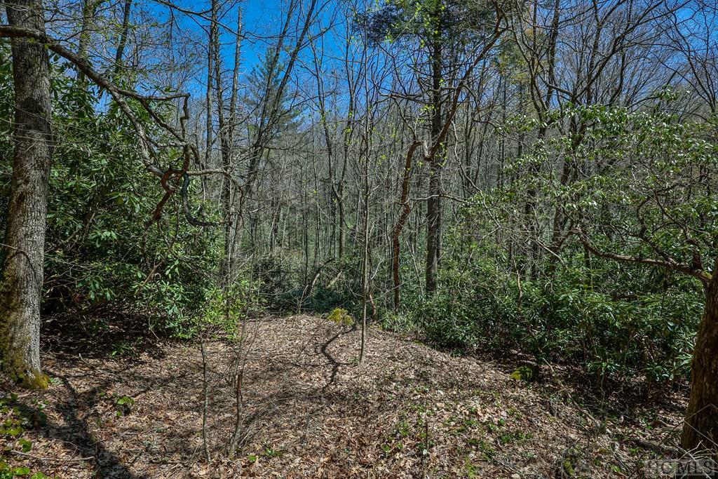 Lot 34 Streamside Lane