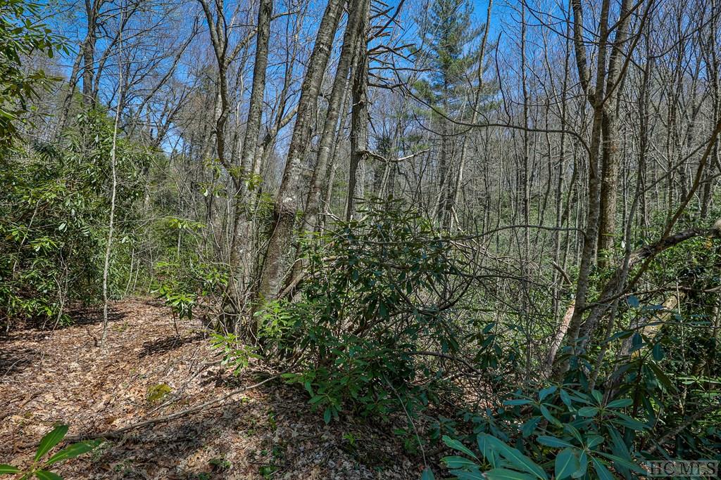 Lot 34 Streamside Lane