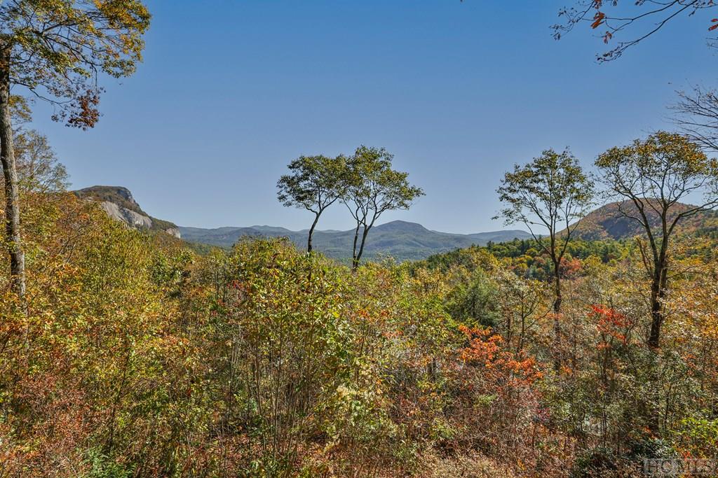224 Lost Trail
