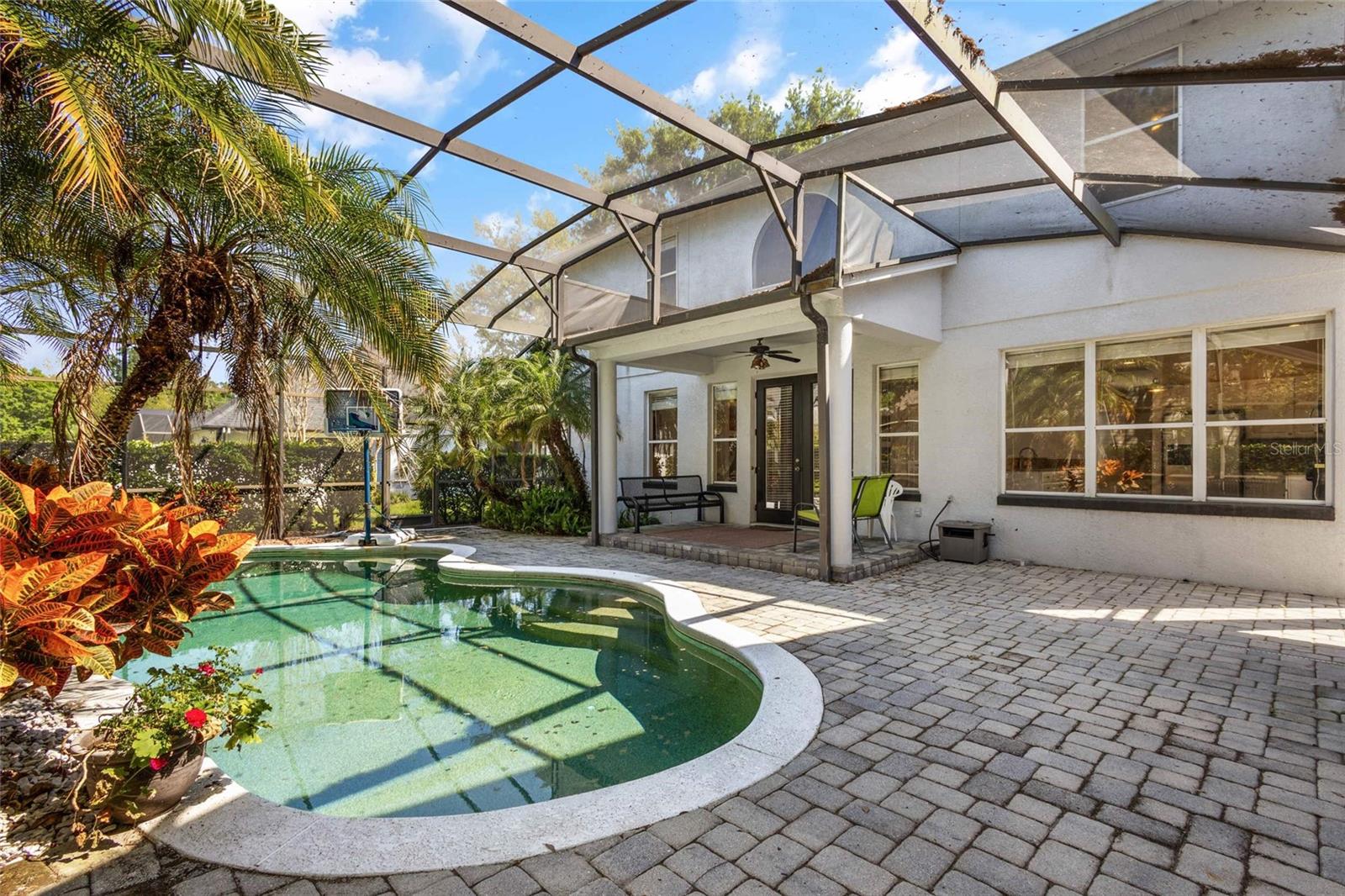 428 COURTLEA OAKS BLVD