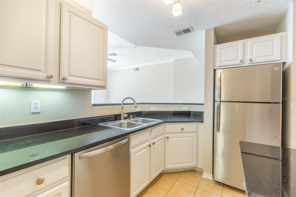 501 KNIGHTS RUN AVE #2106