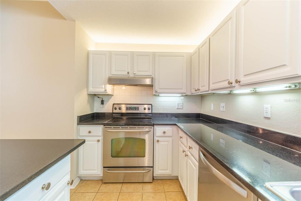 501 KNIGHTS RUN AVE #2106