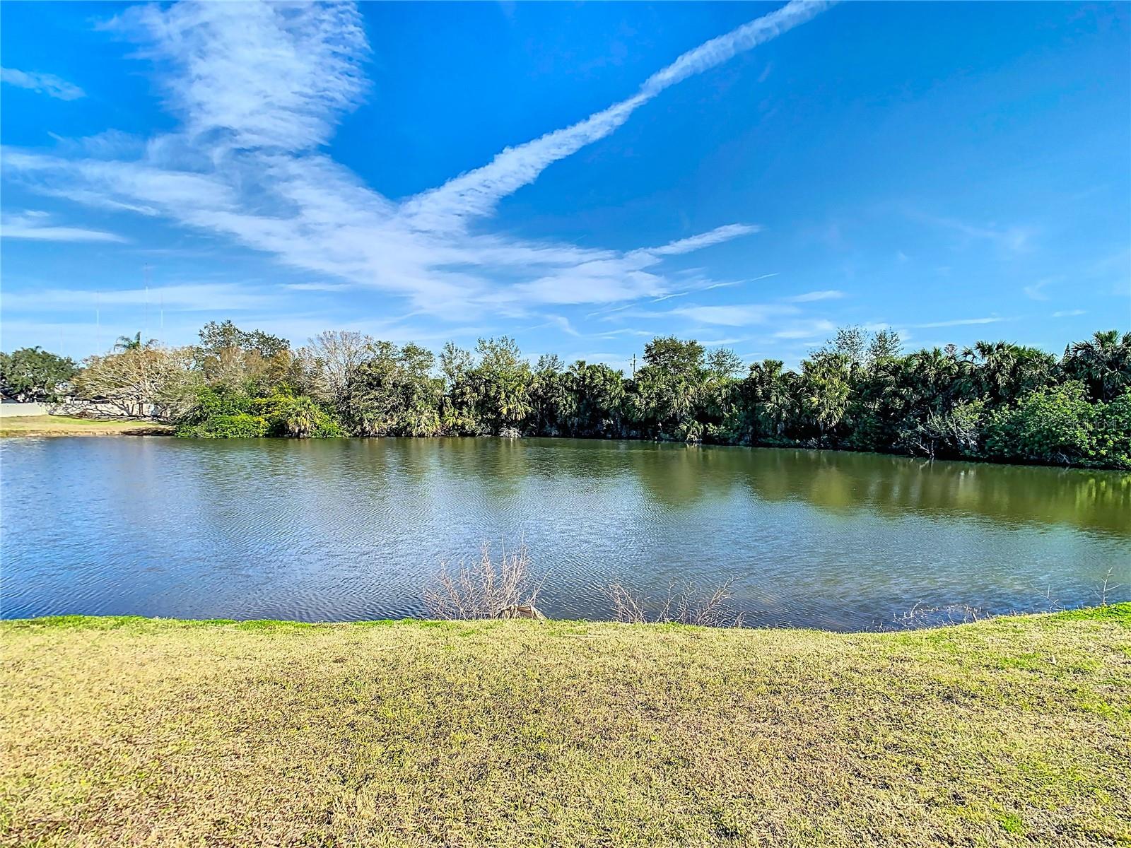 10839 VENICE CIR