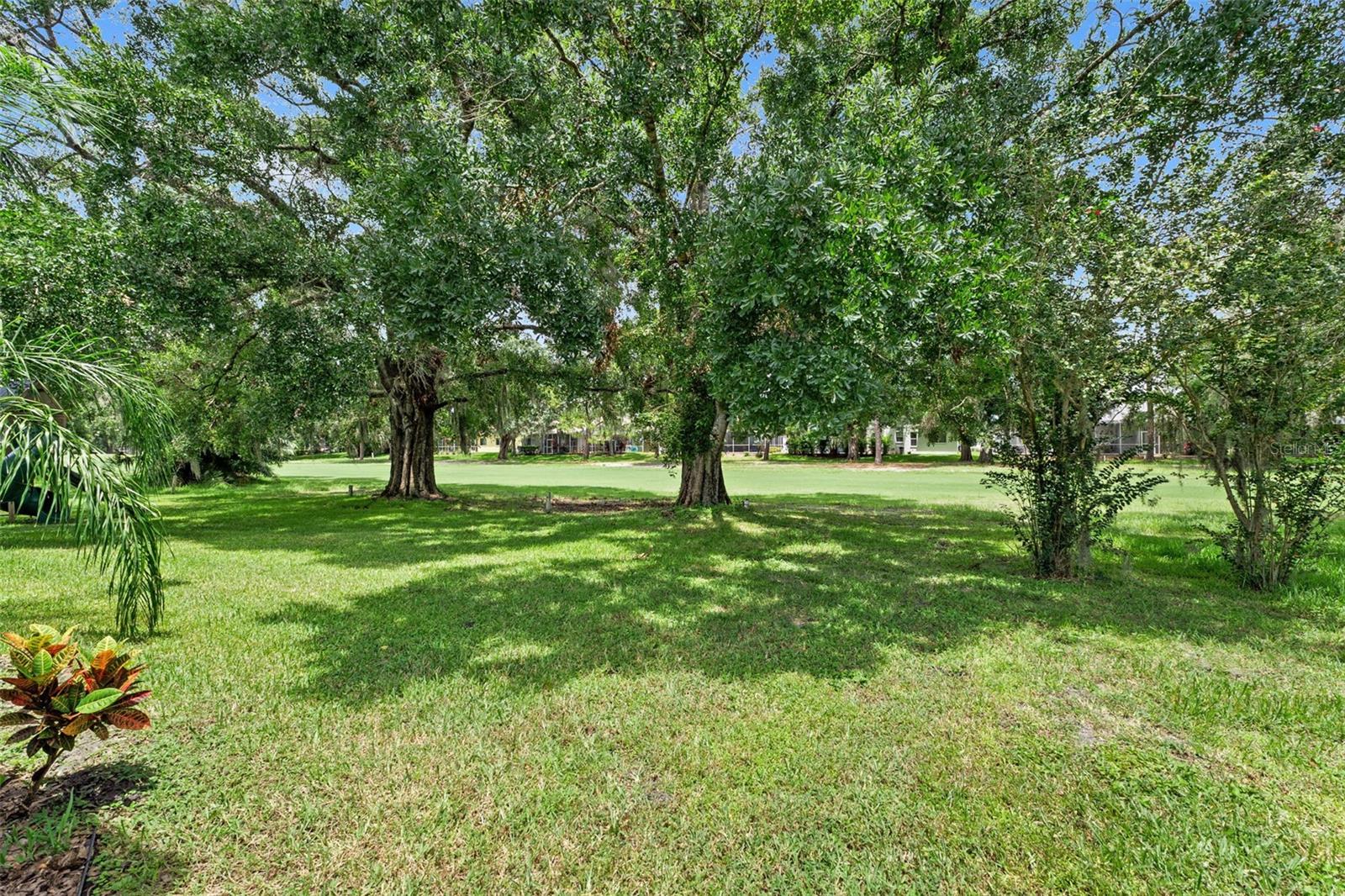 16511 TURNBURY OAK DR