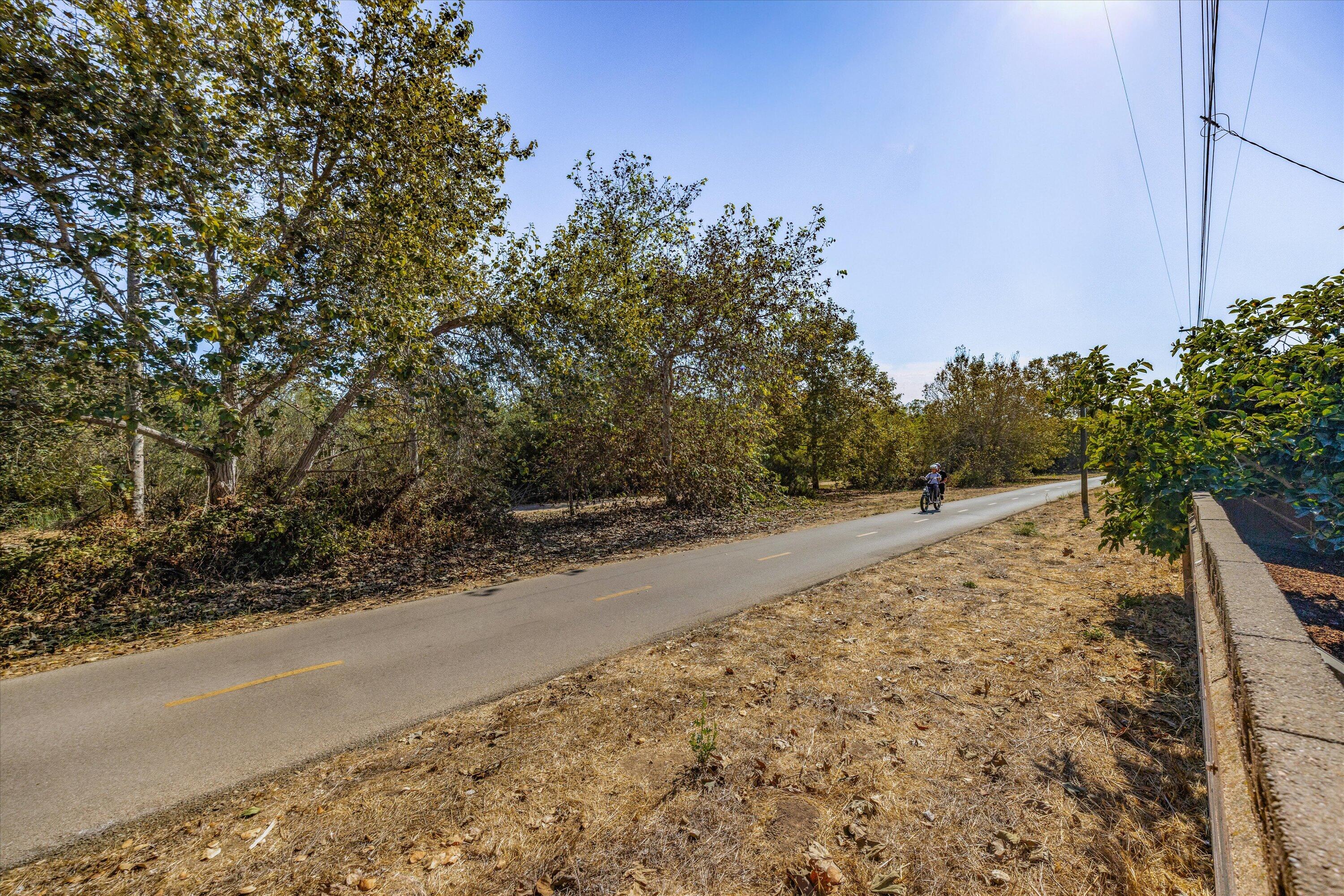 Tree-lined paved path with a cyclist riding past dry roadside ground.