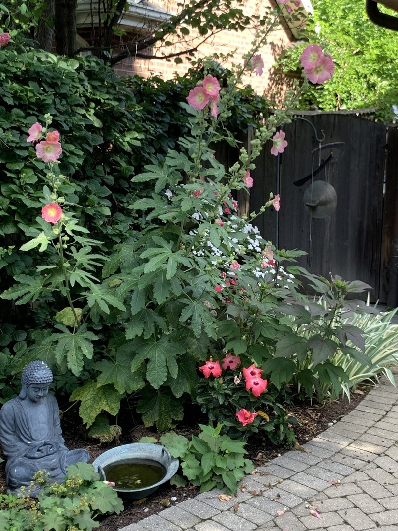 344 E Scranton Avenue