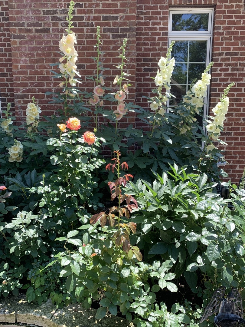 344 E Scranton Avenue