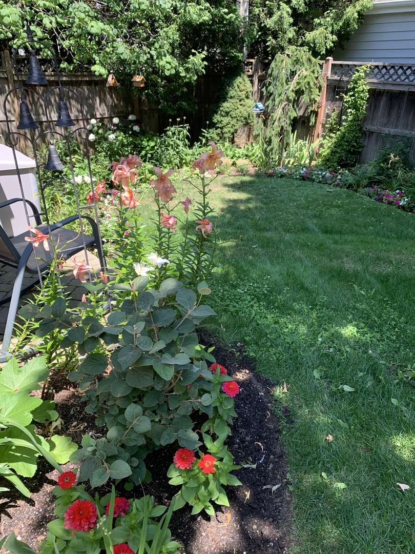 344 E Scranton Avenue