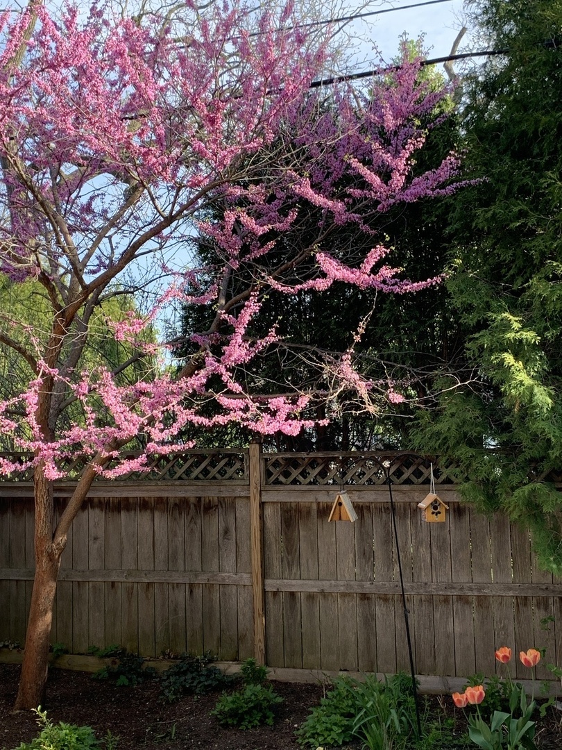 344 E Scranton Avenue