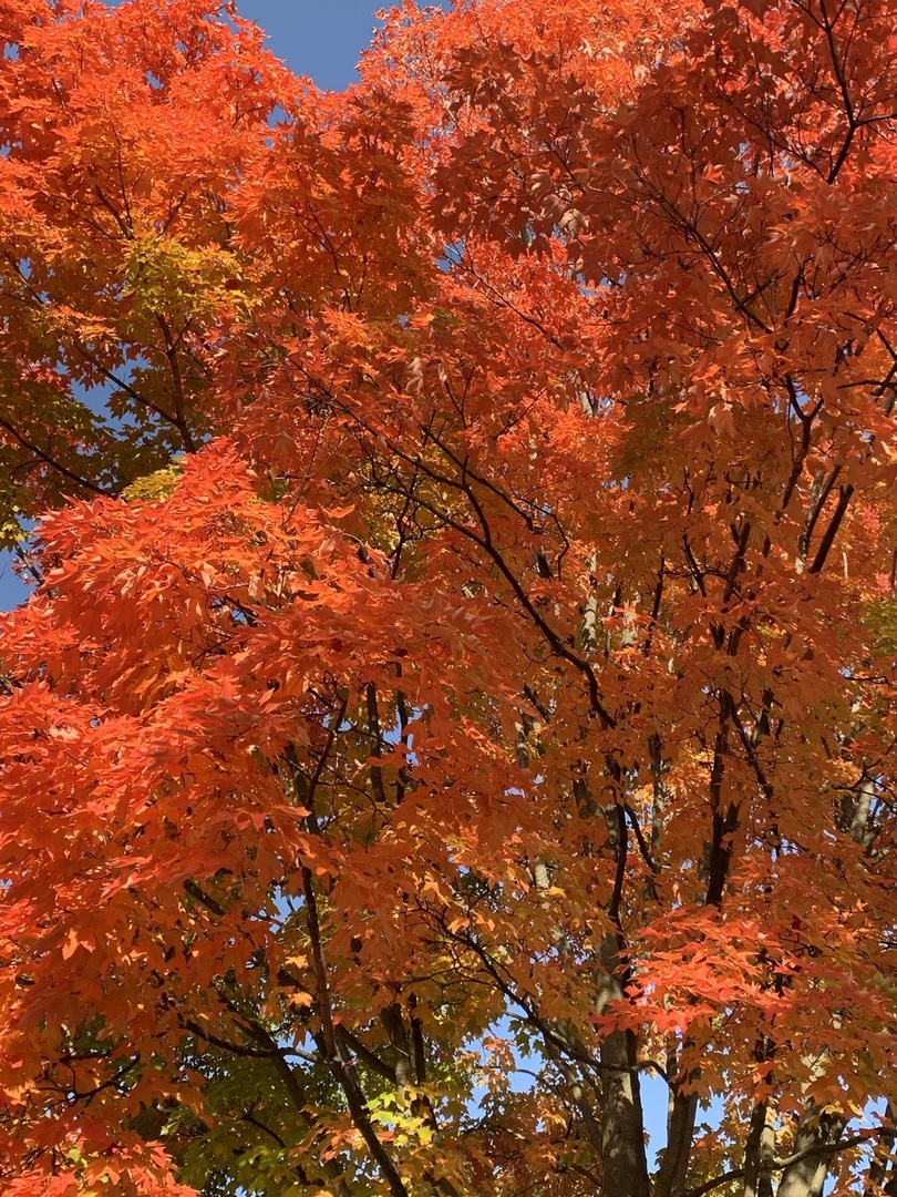 344 E Scranton Avenue