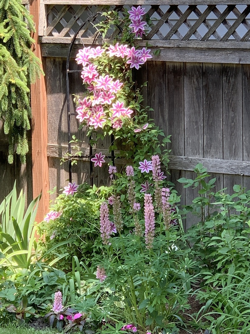 344 E Scranton Avenue