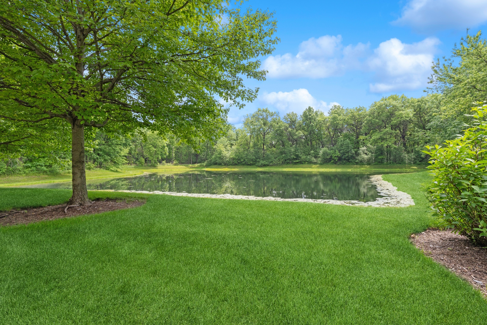 28605 Windmere Court