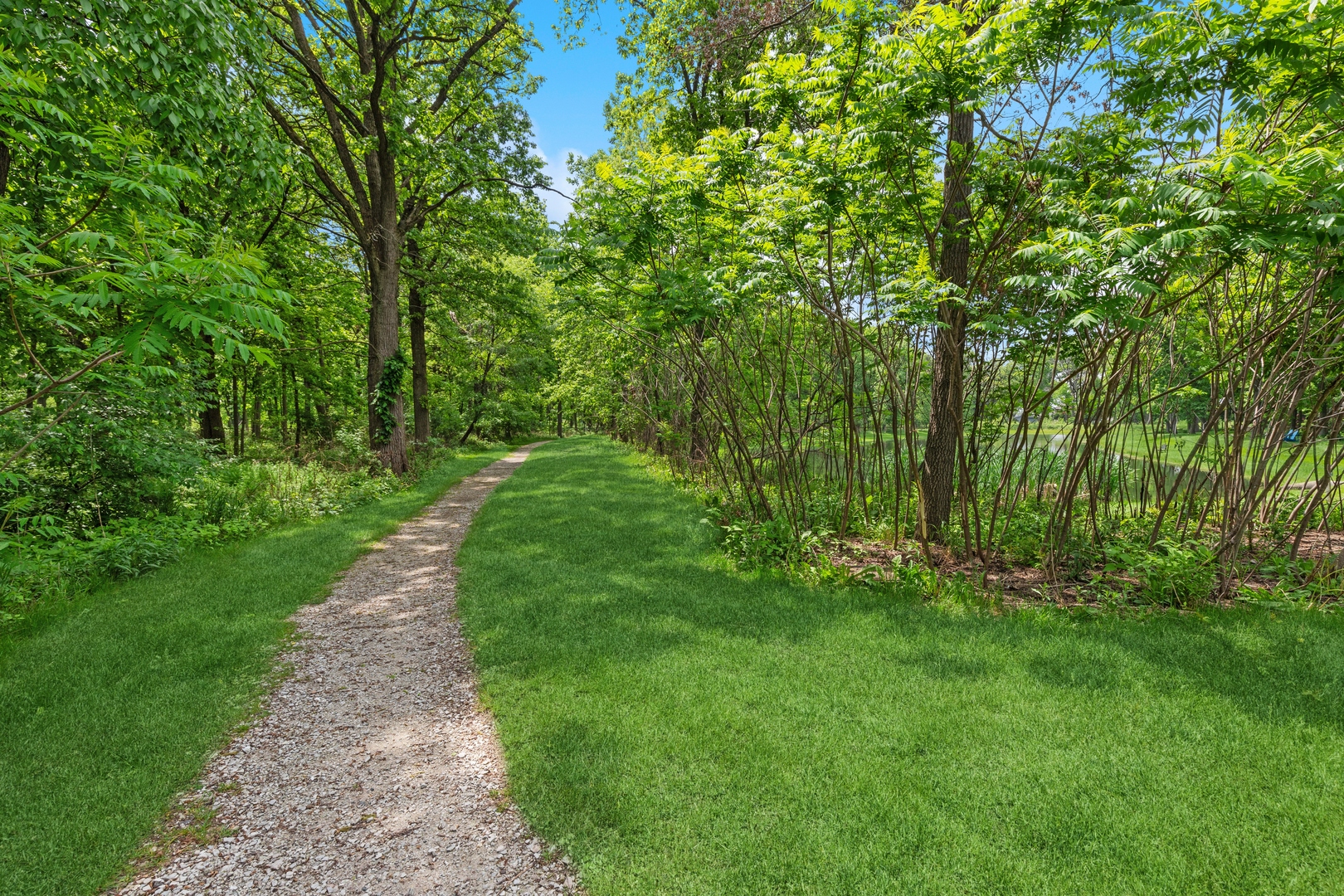 28605 Windmere Court