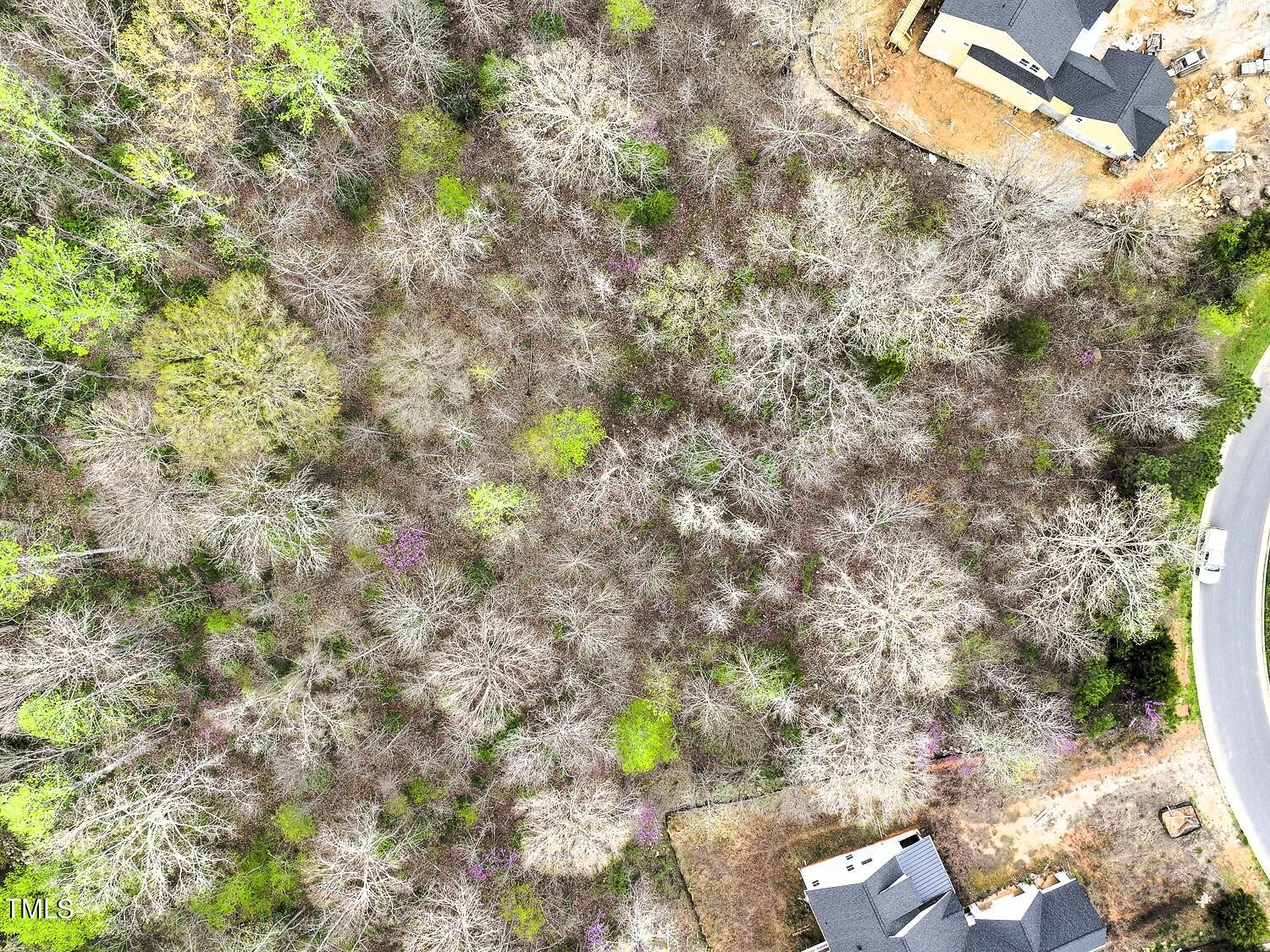 67 Lookout Ridge
