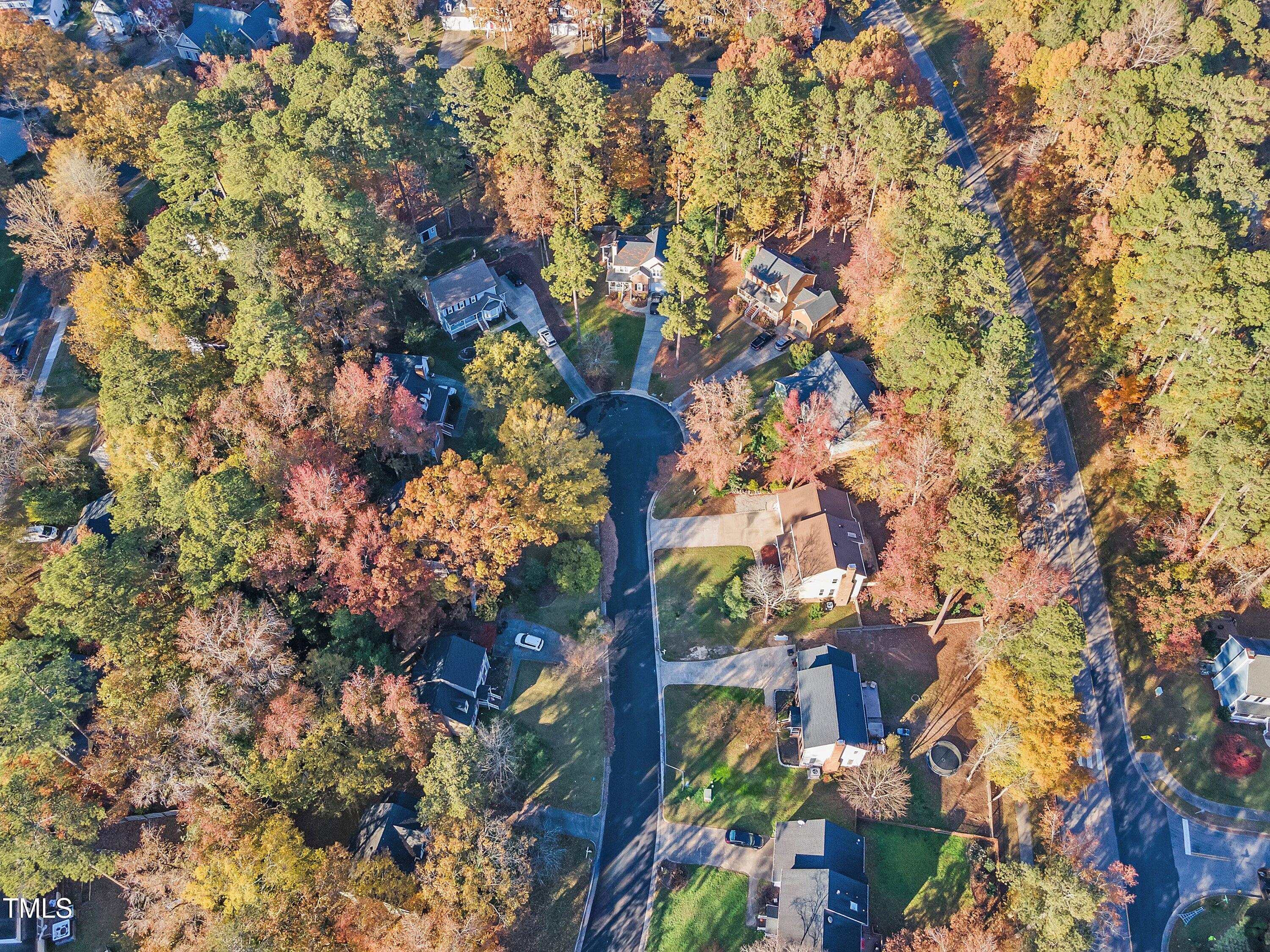 1008 Mingo Place