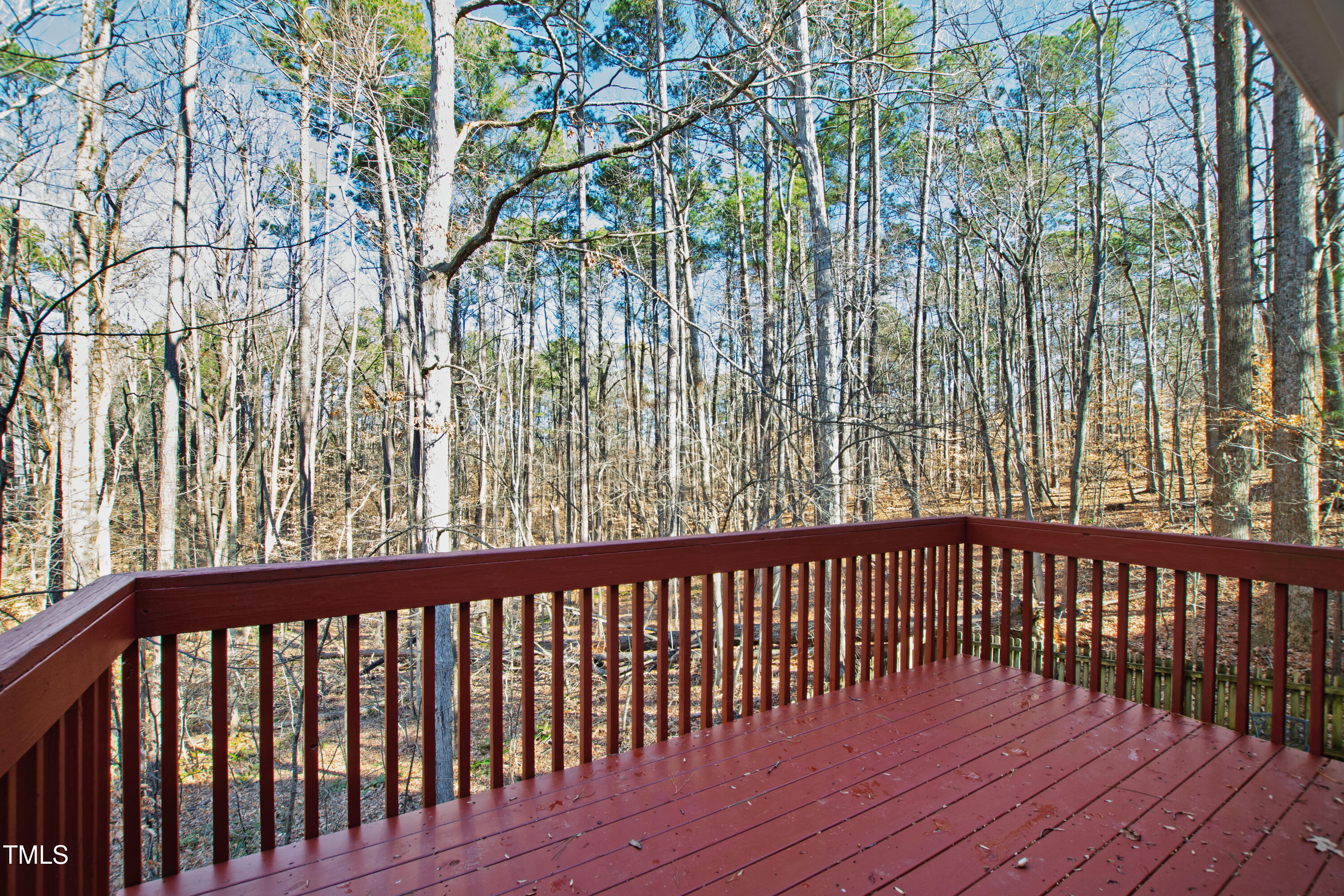 121 Beasley Court
