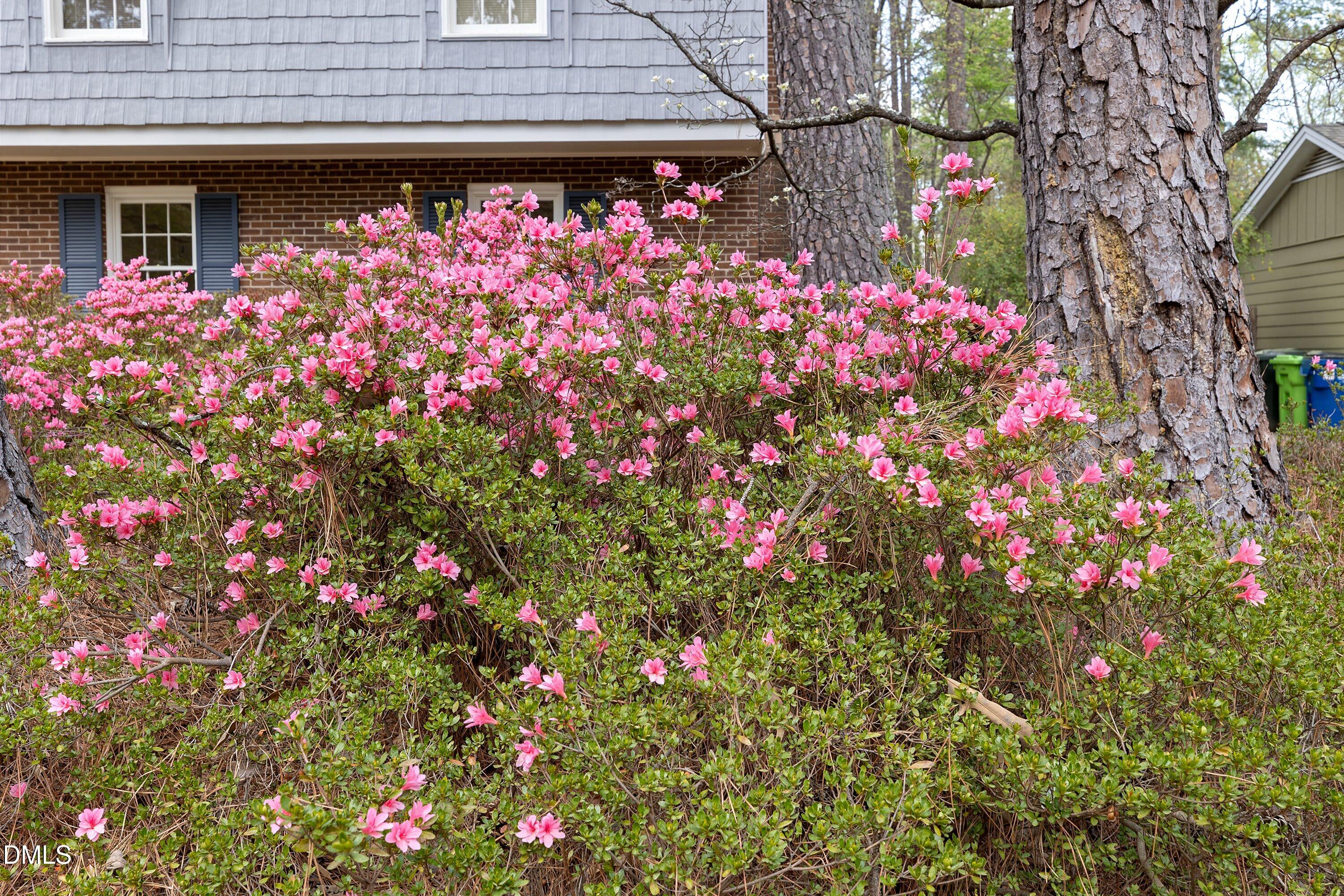 1429 Falls Church Road