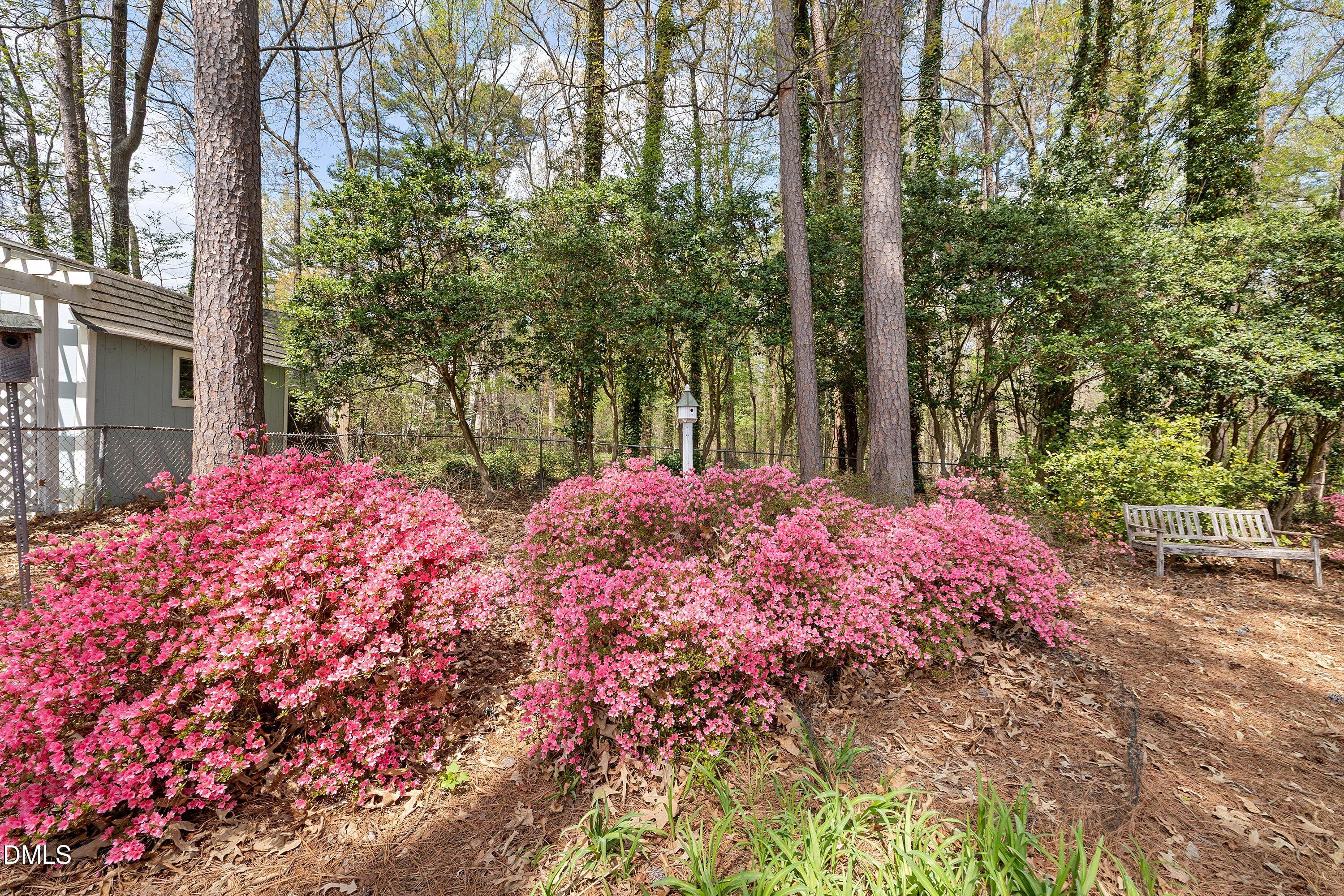1429 Falls Church Road