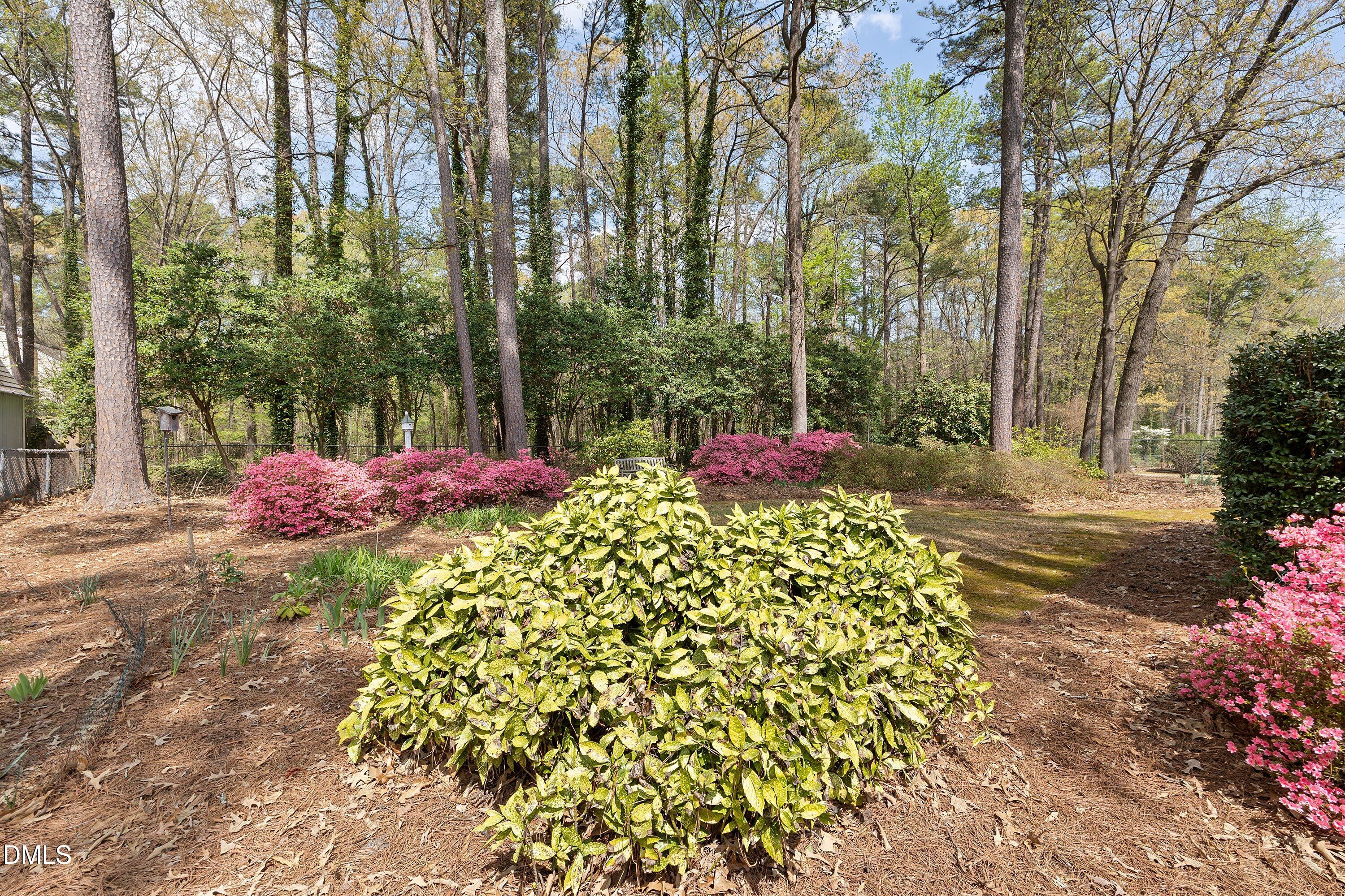 1429 Falls Church Road