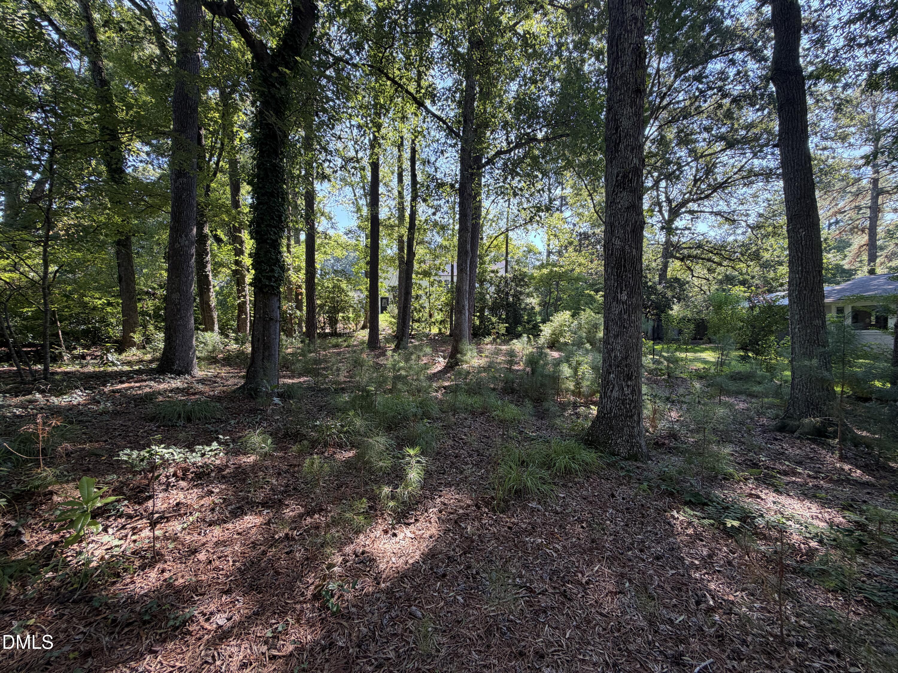 408 Marjorie Drive