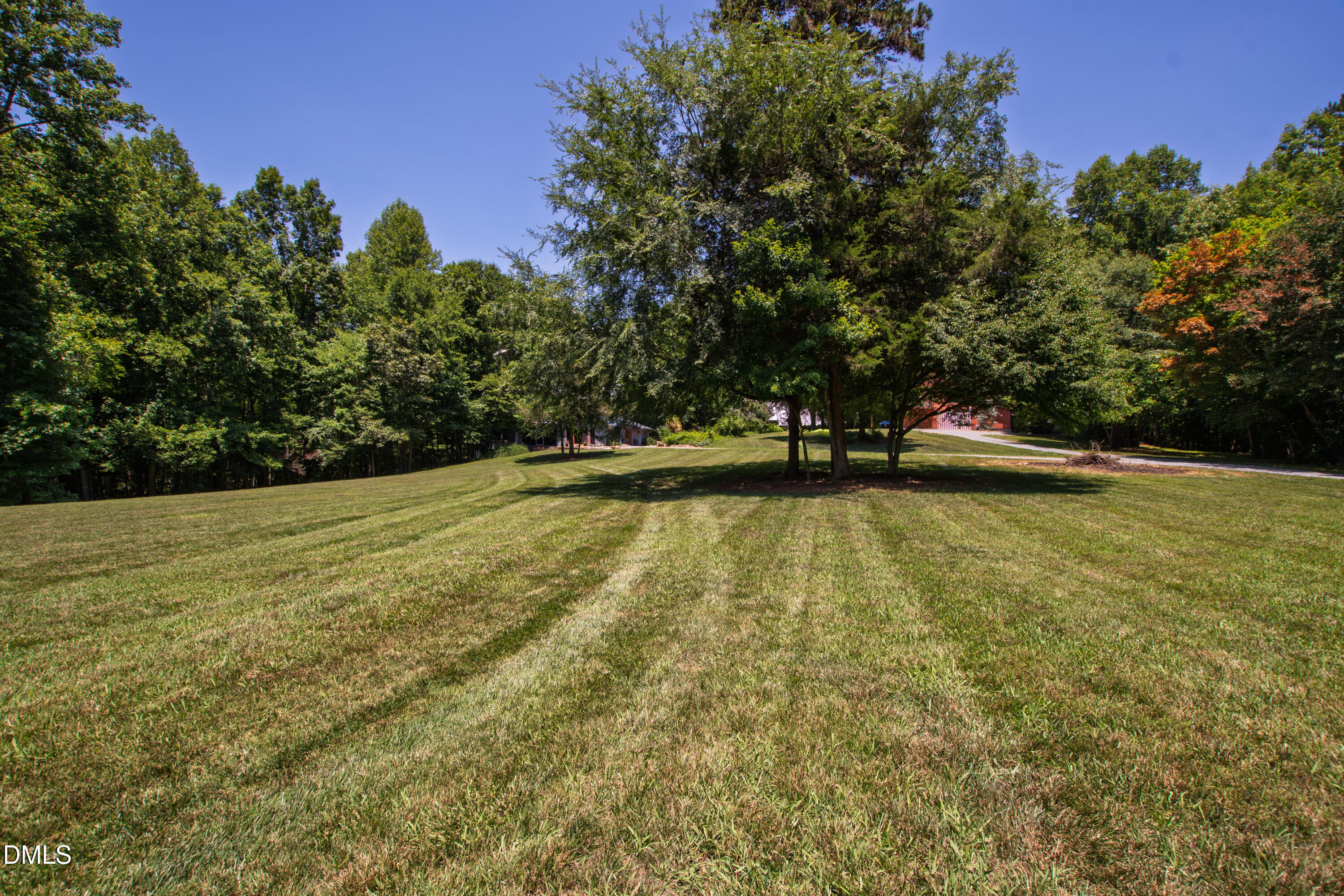 319 Wrights Way