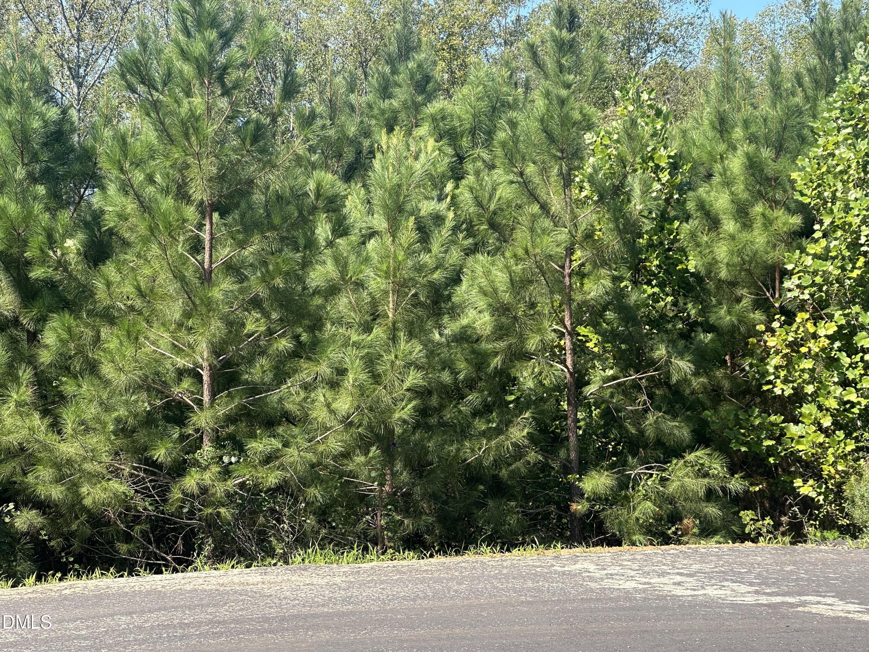 Lot 15 0 W Old Spring Hope Rd
