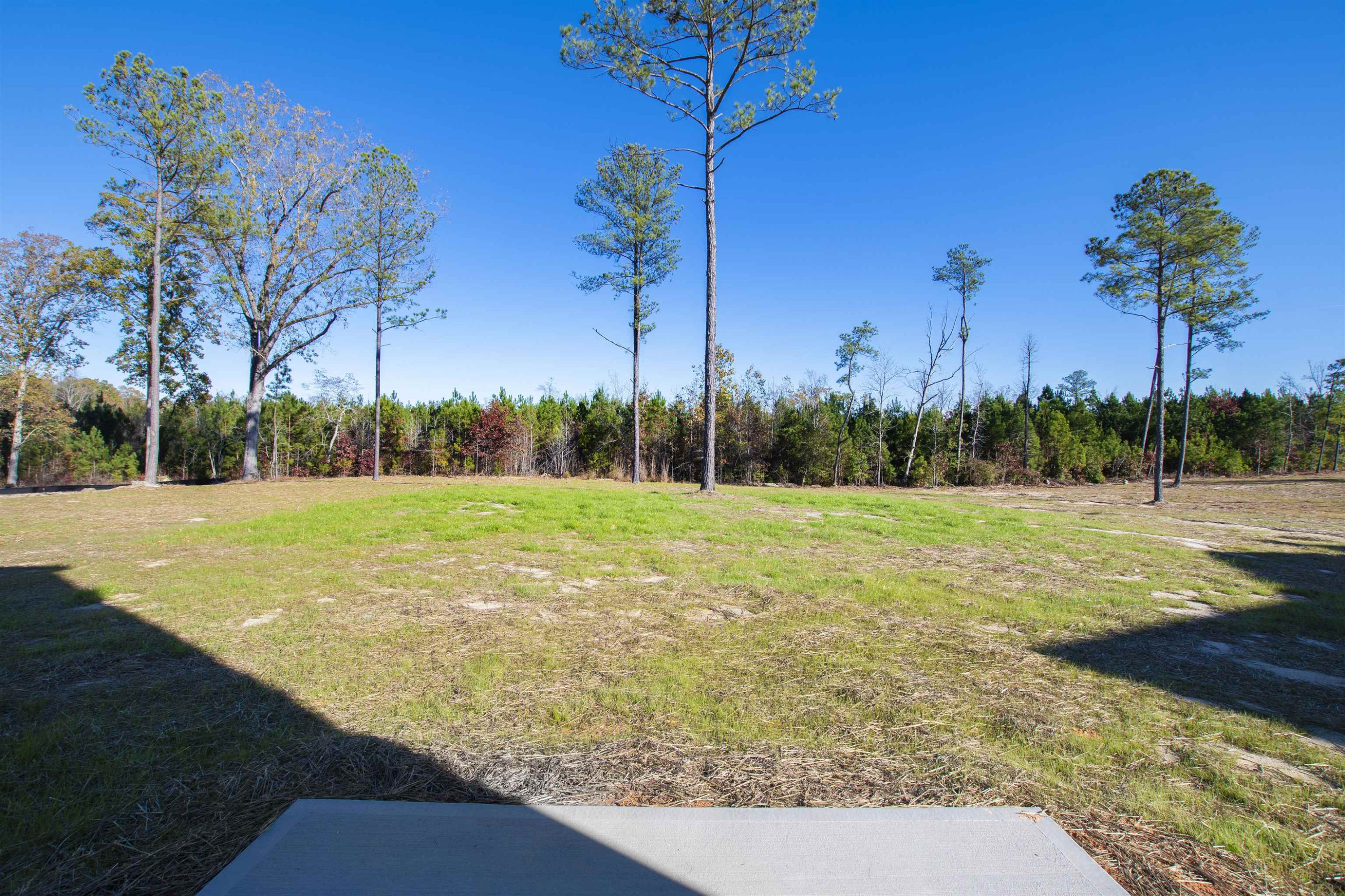 316 Nickleby Way