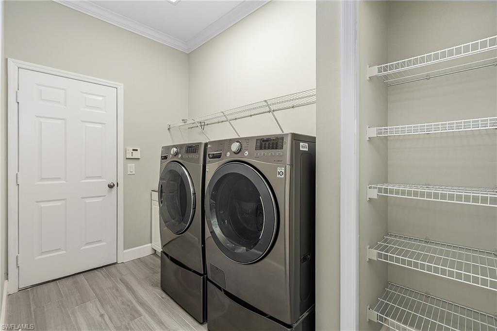 11400 Fallow Deer CT