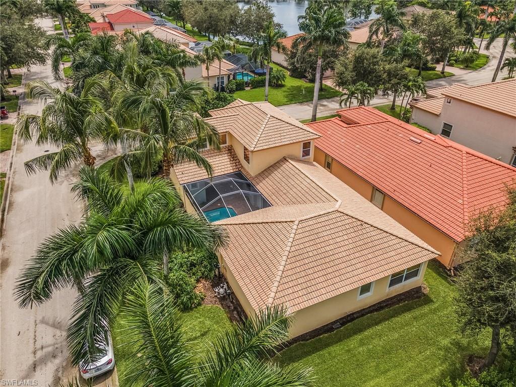 11400 Fallow Deer CT