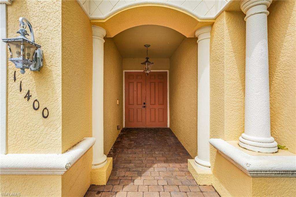 11400 Fallow Deer CT