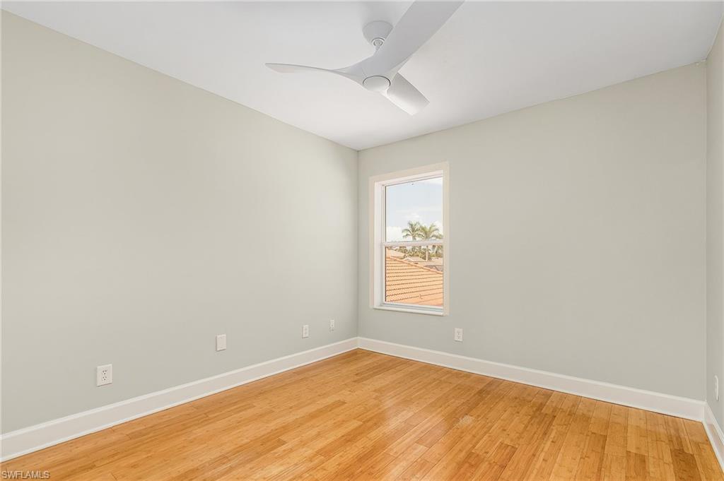 11400 Fallow Deer CT