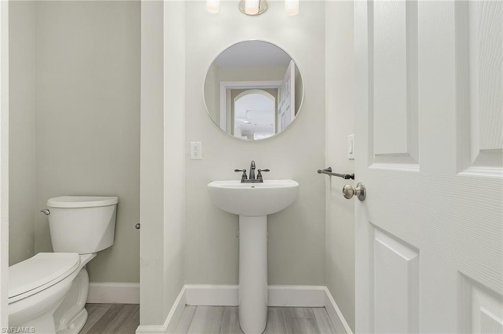 11400 Fallow Deer CT