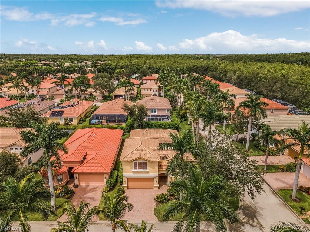 11400 Fallow Deer CT