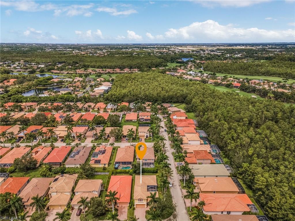 11400 Fallow Deer CT