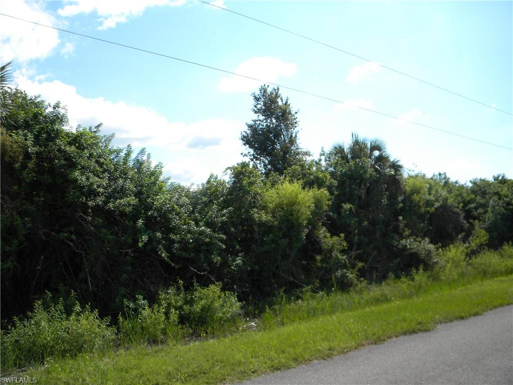 XXX Shady Hollow BLVD W