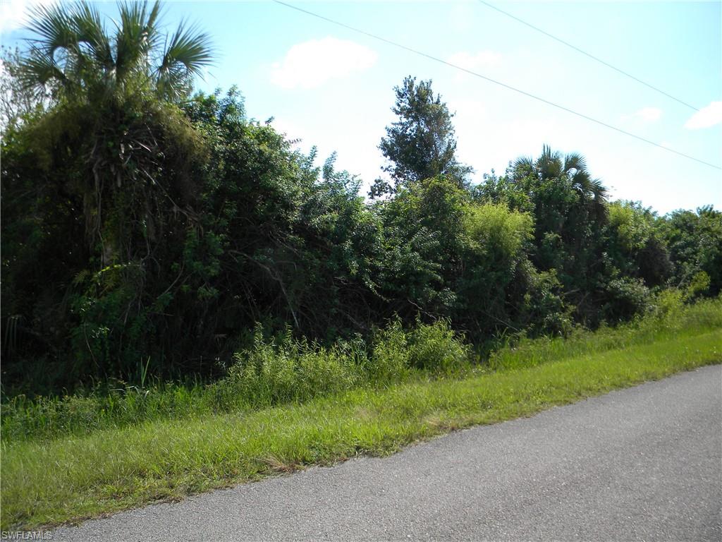 XXX Shady Hollow BLVD W