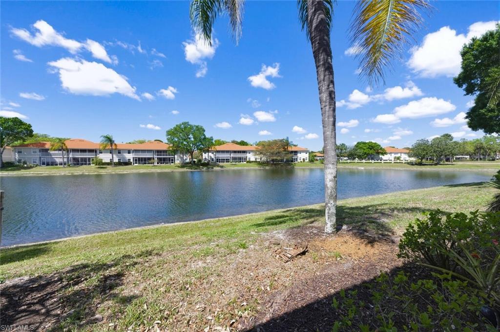 Pond view toward low-rise homes, framed by a tall palm and landscaped shoreline.
