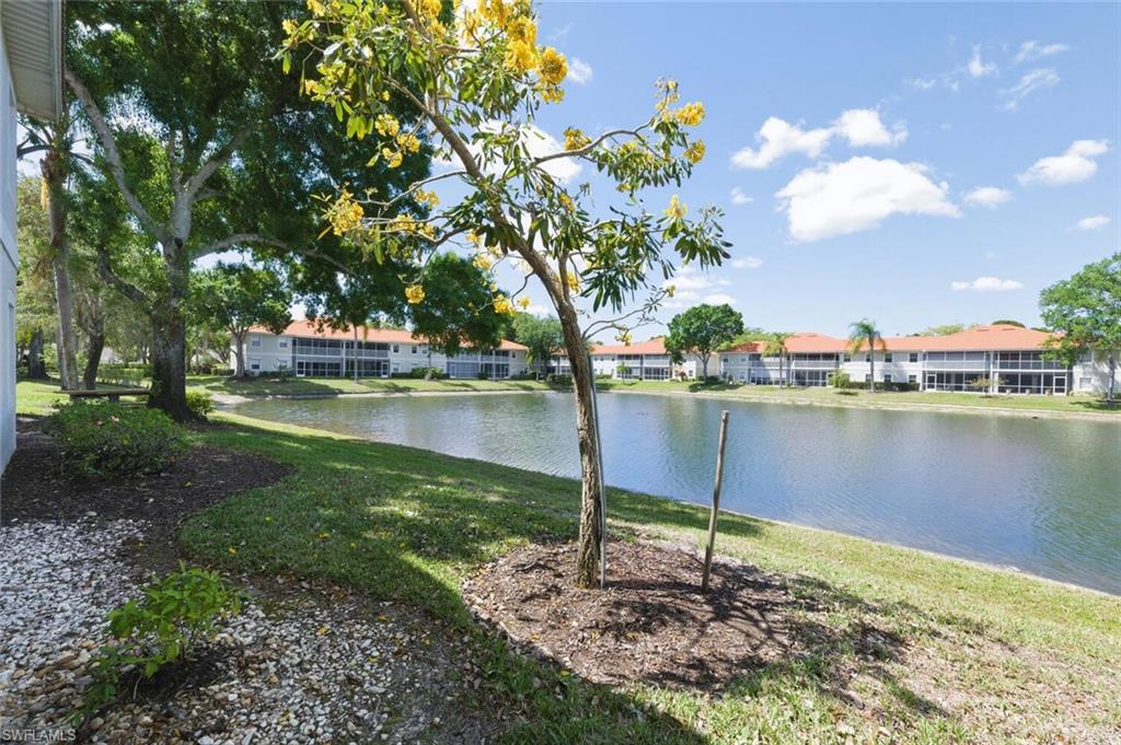 Landscaped pond framed by a yellow-flowering tree, with condominium buildings across the water.