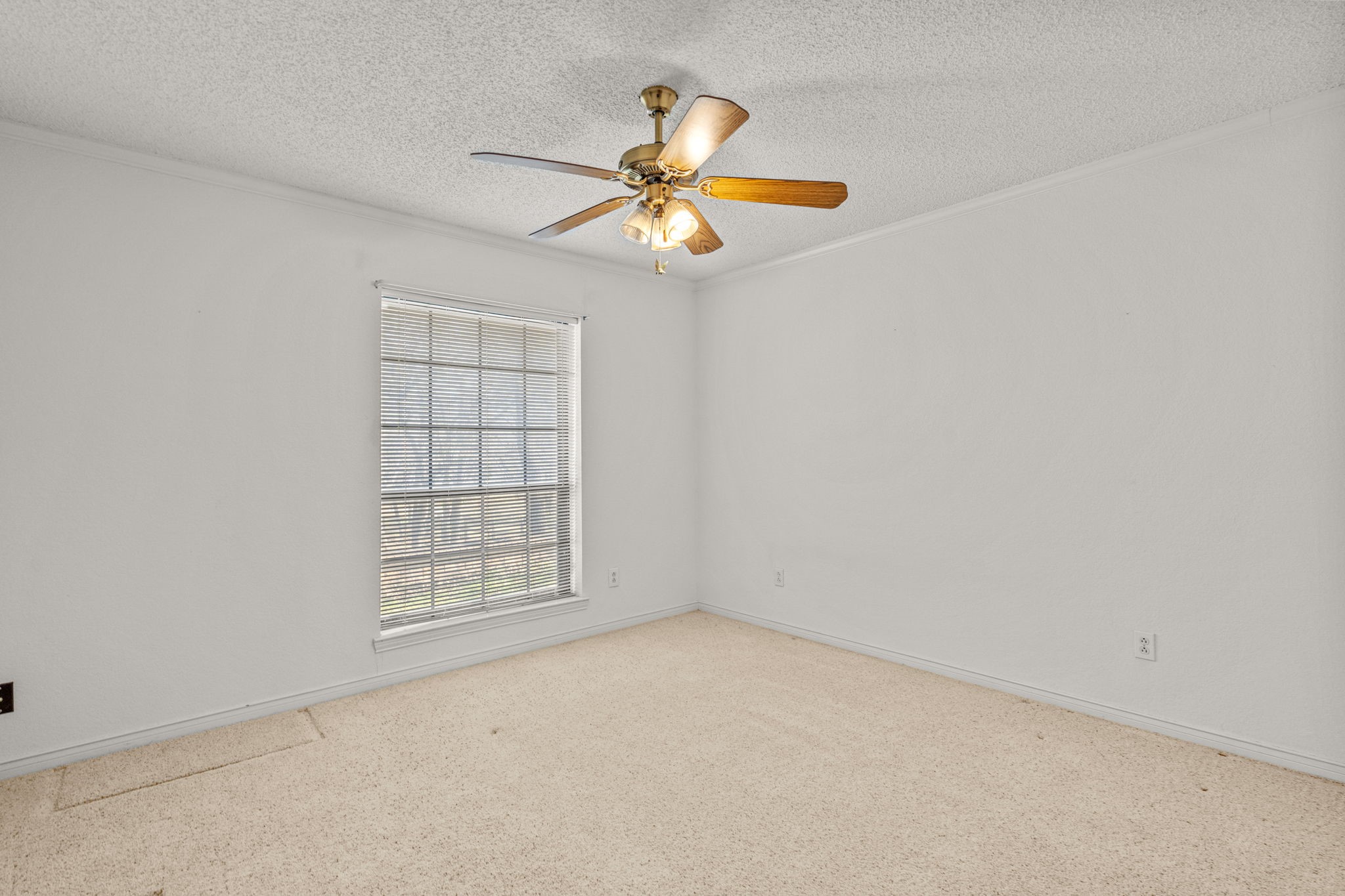 701 Castleman Court