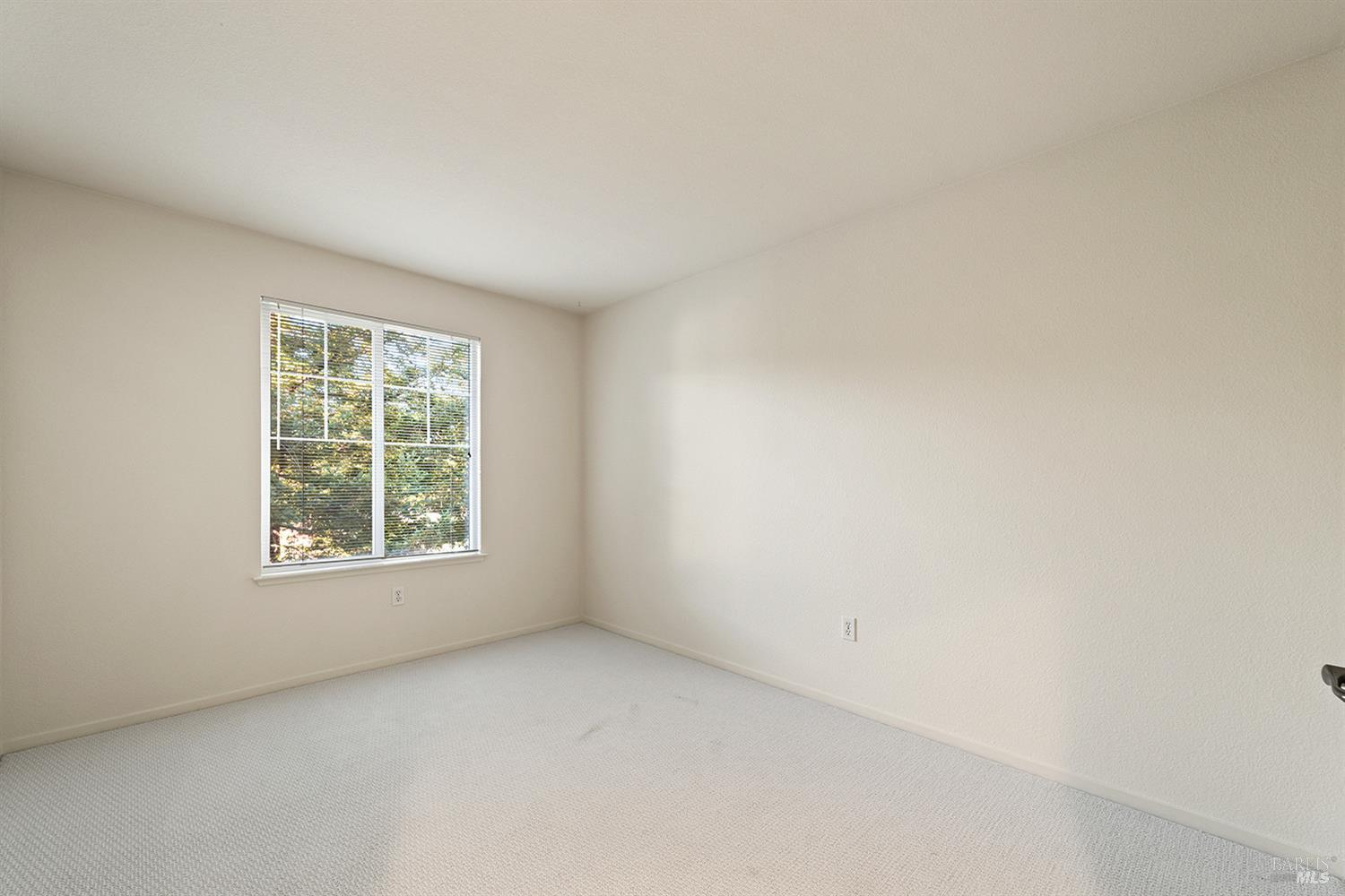 53 Mather Ct