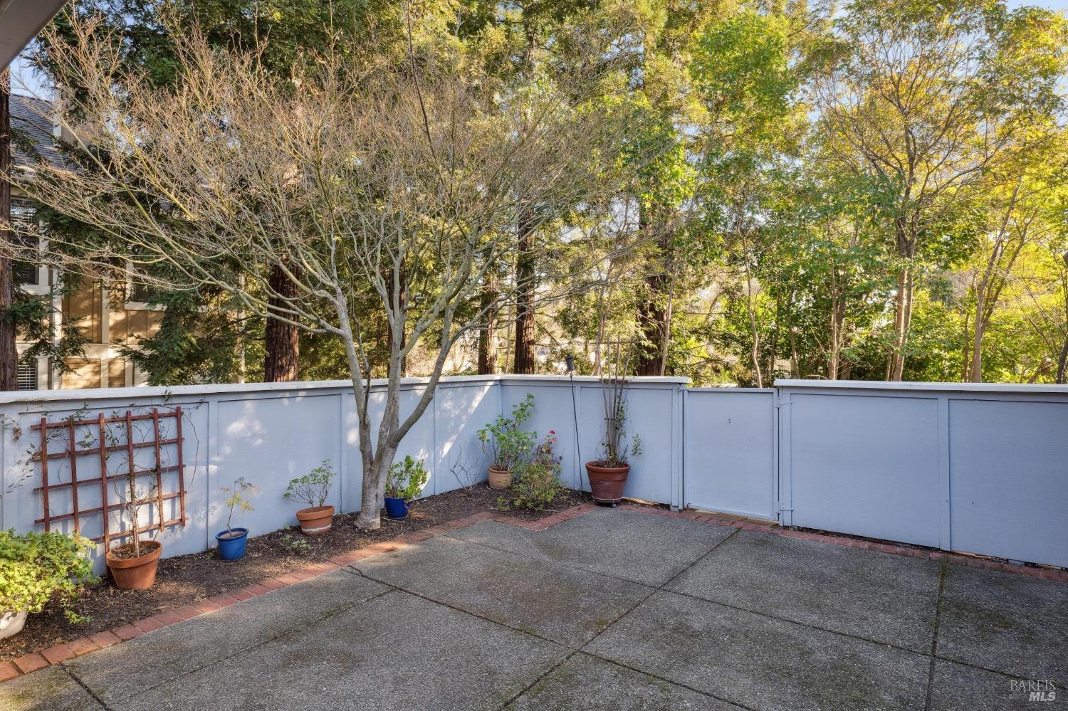 847 Princeton Dr