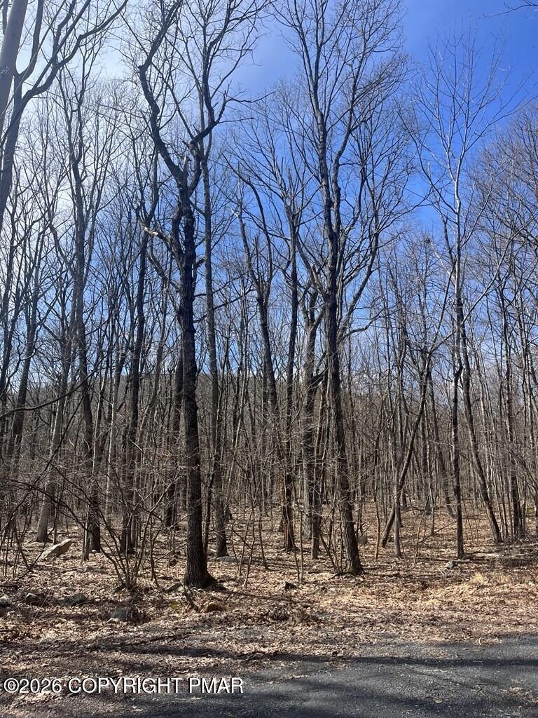E Creek Drive