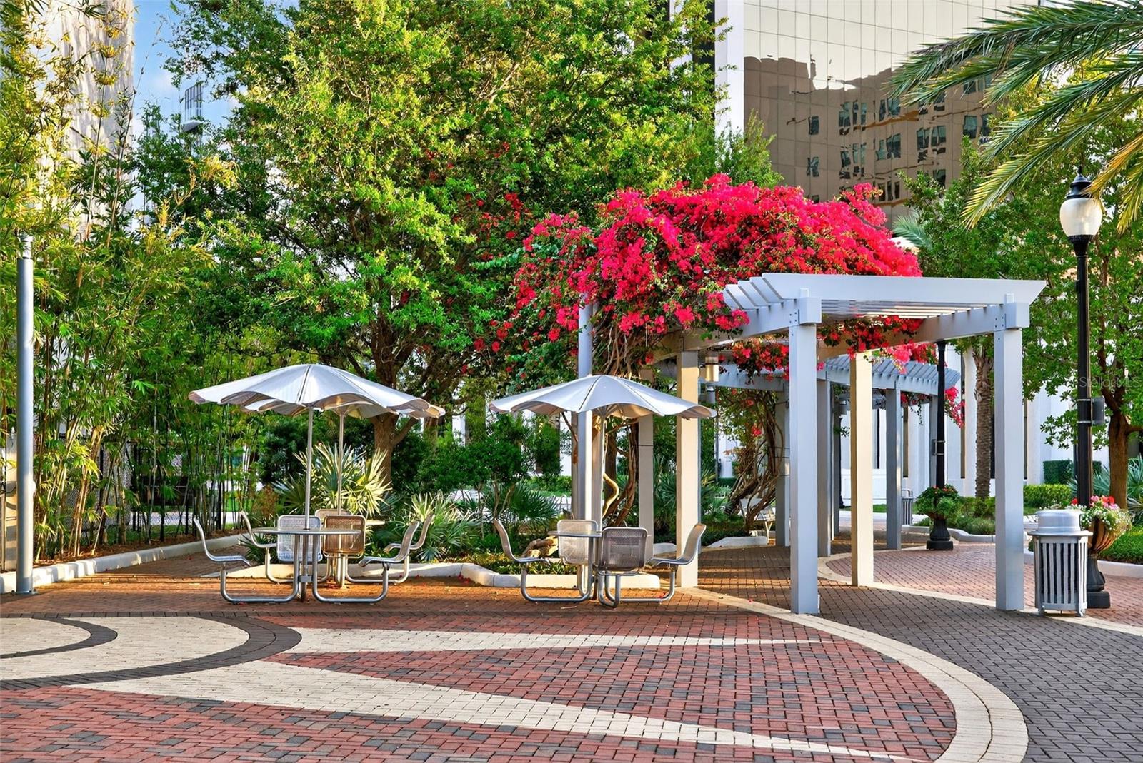 111 S PINEAPPLE AVE #806