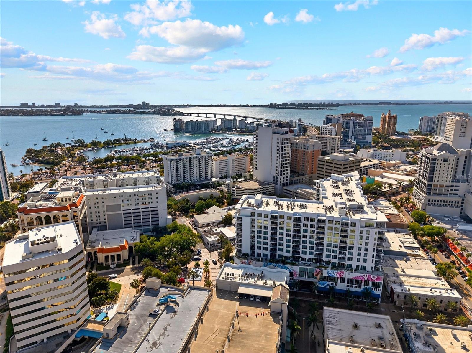 111 S PINEAPPLE AVE #806