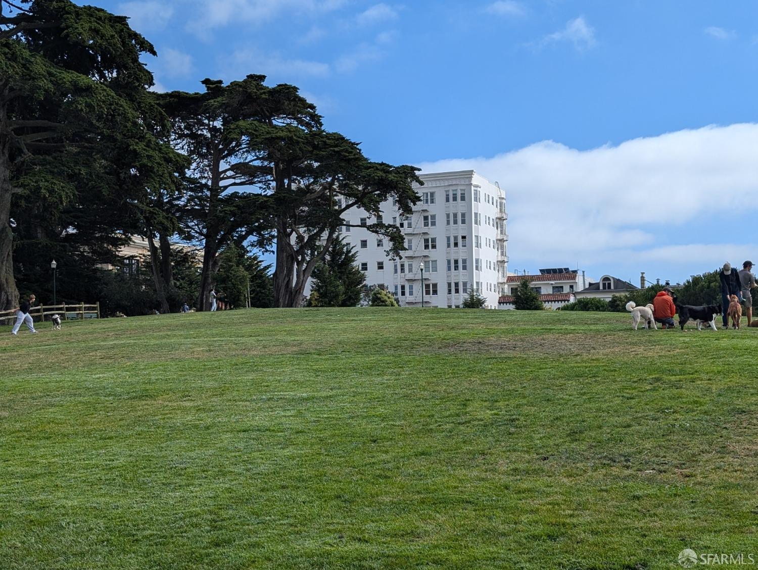 1261 Grove Street # 6