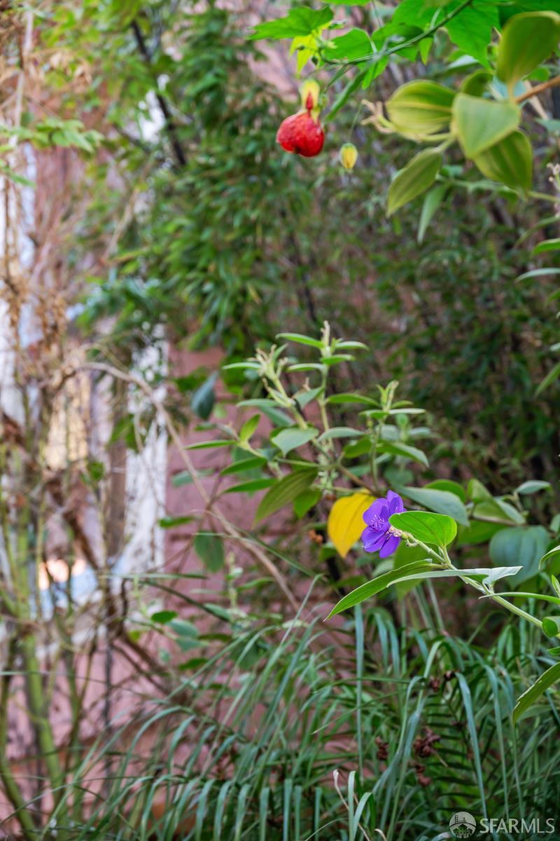 716-716A Douglass Street