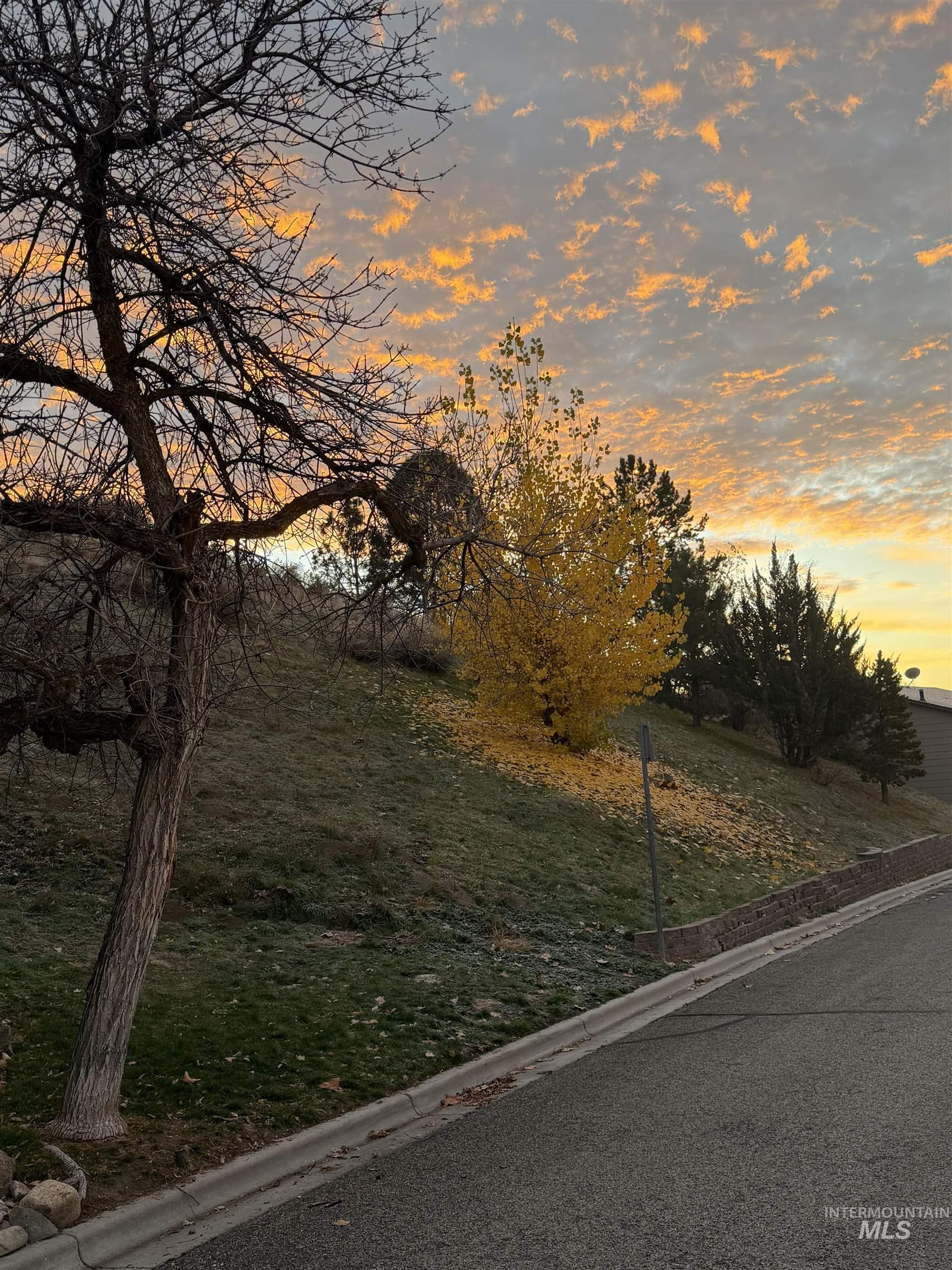 4950 N Bitterbrush