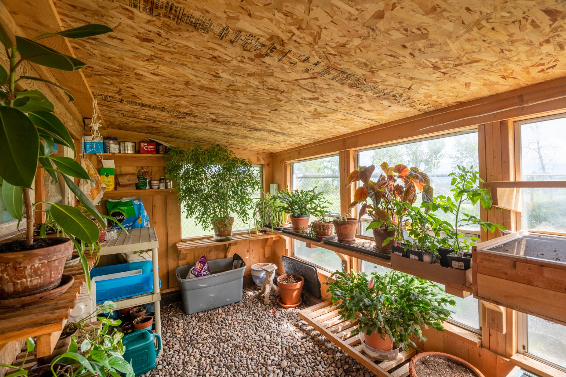 142 Pine View Road