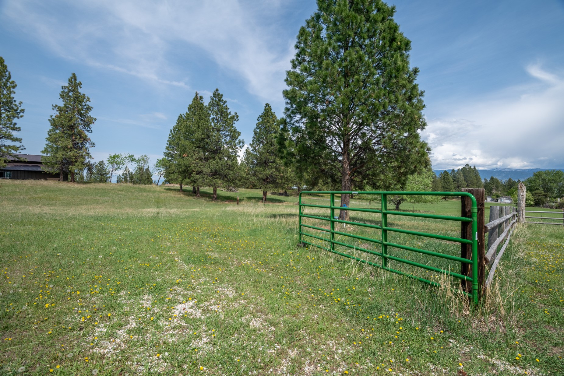 142 Pine View Road